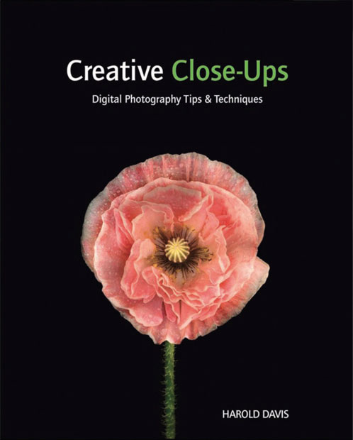 عکاسی نمای نزدیک خلاقانه - نکته ها و تکنیک های عکاسی